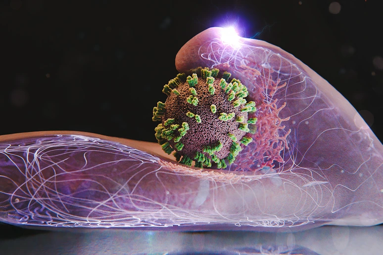 Le cellule umane ingannate dai virus dell'influenza, li aiutano a entrare   VIDEO