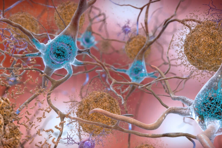 Allo studio nuovi sensori per leggere il cervello neurone per neurone
