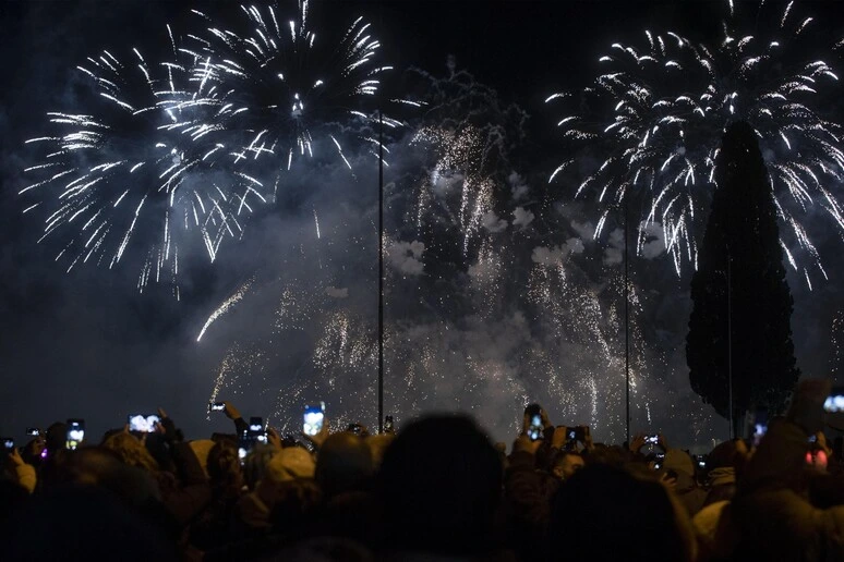 Fuochi d'artificio, i consigli dei pediatri per Capodanno