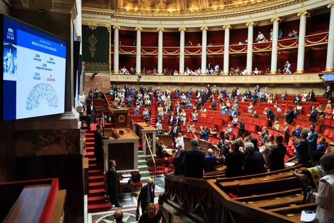 Abrogation du Code noir : des députés et historiens réunionnais regrettent que la loi votée ne mentionne pas clairement les îles de l’océan Indien
