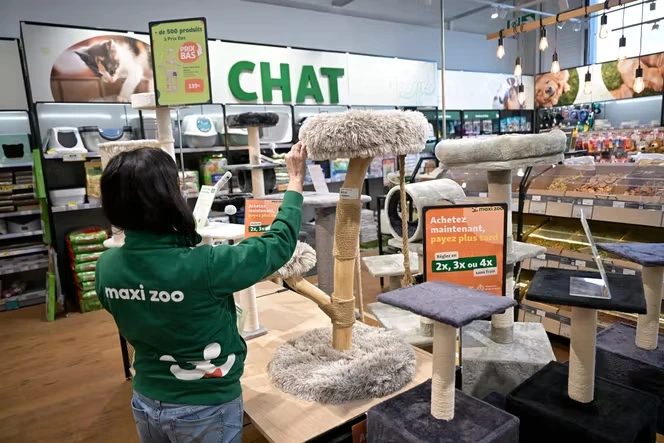 Maxi Zoo, leader européen des magasins pour animaux de compagnie, part à la conquête des centres-villes