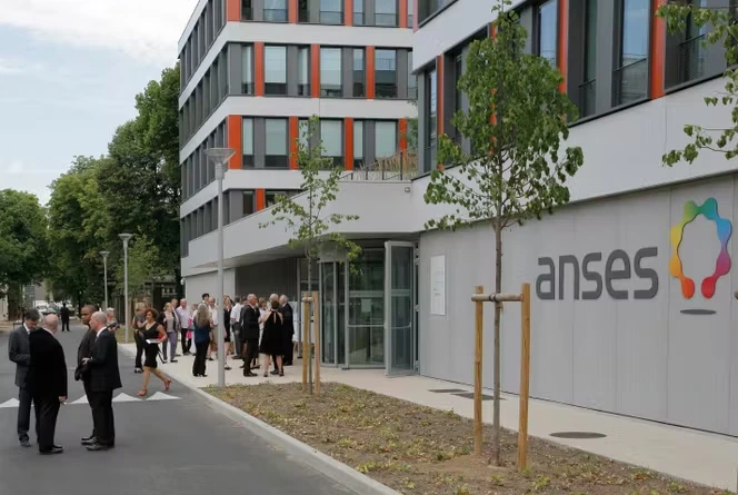 Plusieurs établissements publics, dont Santé publique France, l’Anses et l’Ademe, manifesteront le 2 juillet