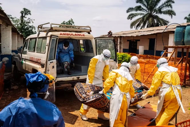 Ebola : un premier cas identifié en France, chez un médecin de retour de RDC