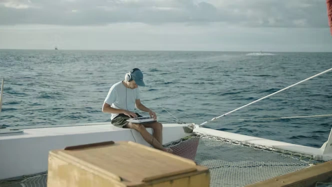 Le compositeur électro Rone dialogue en mer avec les baleines : « Je ne voulais surtout pas les emmerder avec ma musique »