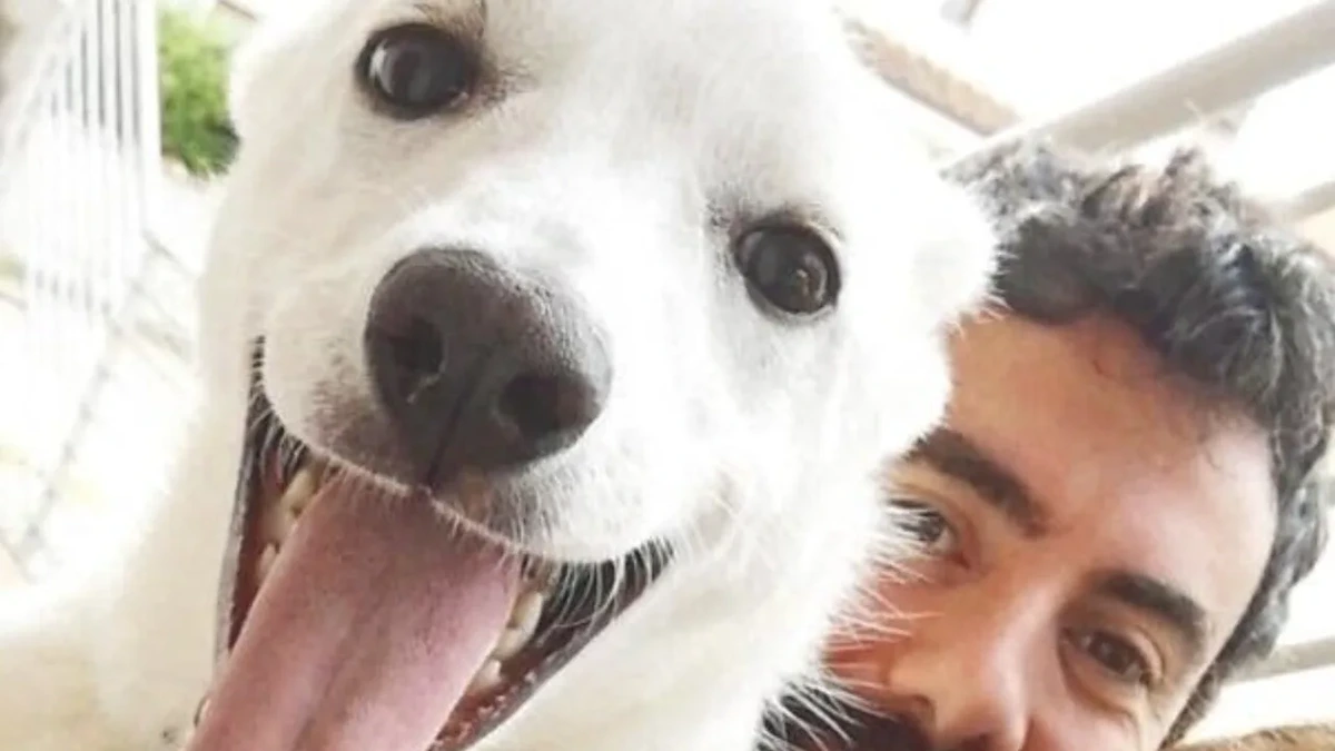 War alles ganz anders? Rätsel um Wolfsangriff auf Kind (2) und Hund