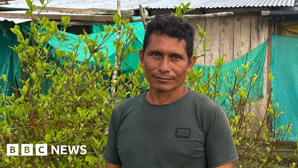 This farmer wanted to quit the cocaine industry - he couldn't