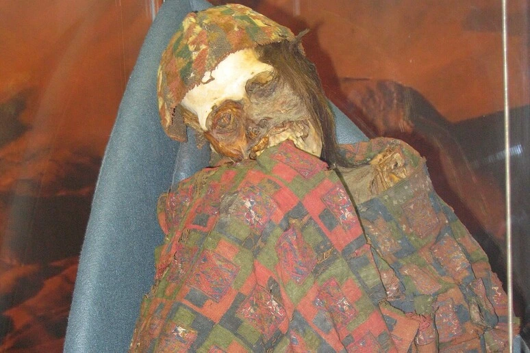 Nelle mummie cilene le prove che il vaiolo fu portato dai colonizzatori