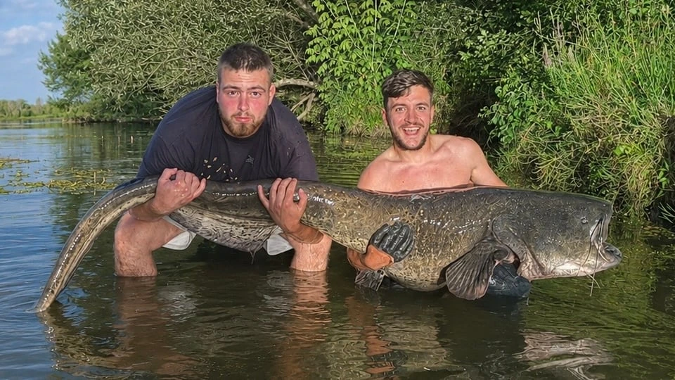 Angler schauen riesigem Wels ins Maul und trauen ihren Augen kaum