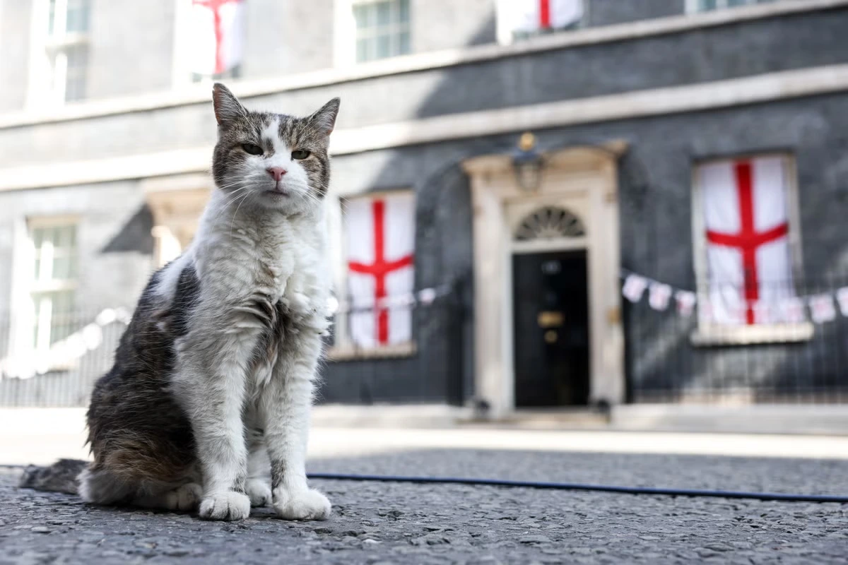 Larry the Cat welcomes yet another prime minister into No 10