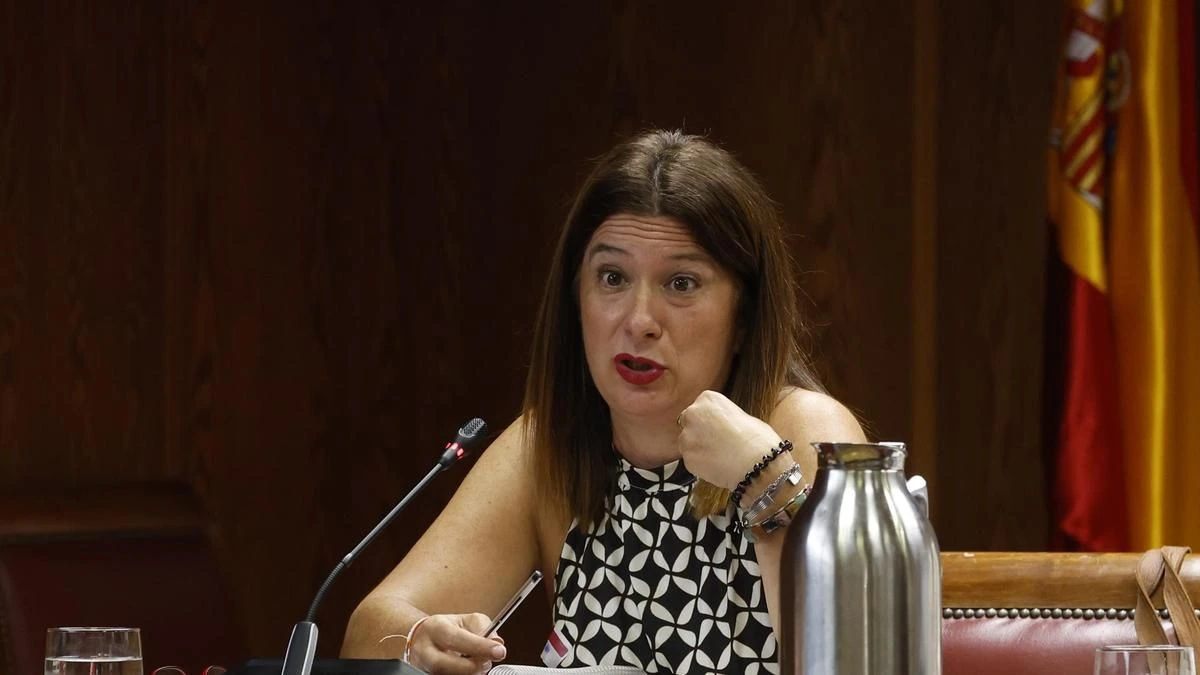 Leire Díez pide a la Audiencia Provincial que permita investigar si la Guardia Civil rastreó ilegalmente sus datos o reuniones