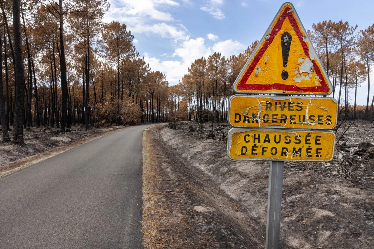 Incendies : dans les Landes et la Drôme, des maires racontent leurs jours de cauchemar