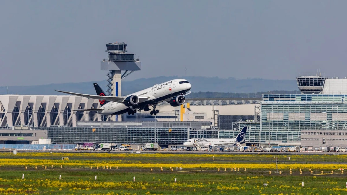 Mücke reiste im Flieger nach Deutschland: Flughafen-Mitarbeiter stirbt an Malaria