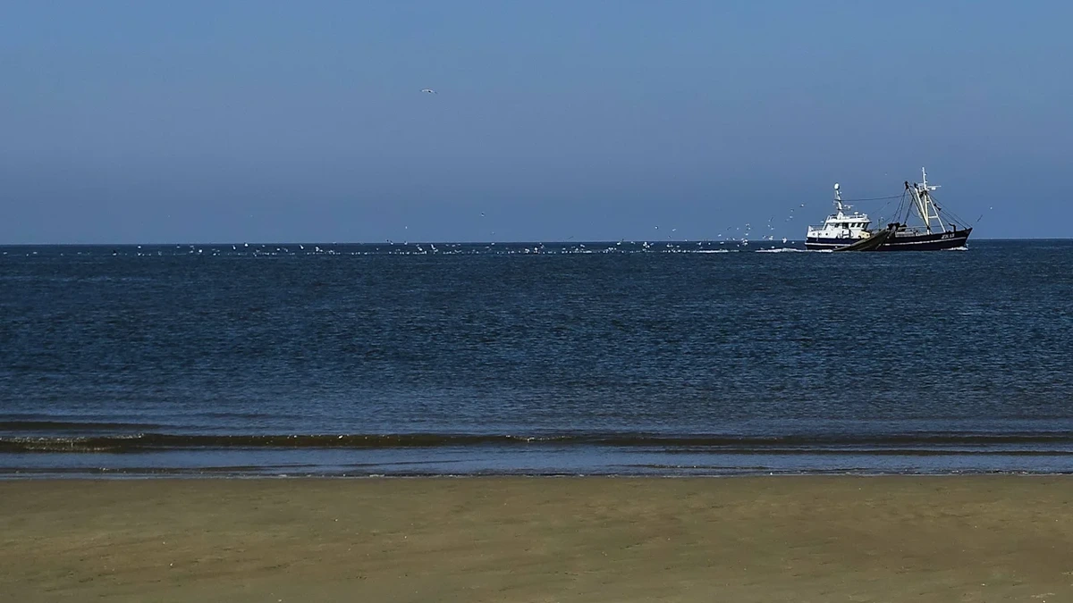 Sie waren im Ferienlager: 16 deutsche Kinder aus Nordsee gerettet