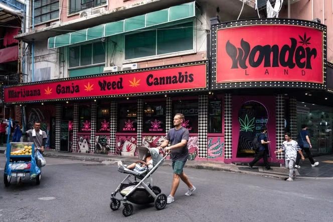 Derrière les « plans Thaïlande » proposés sur les réseaux sociaux, une filière massive d’importation de cannabis