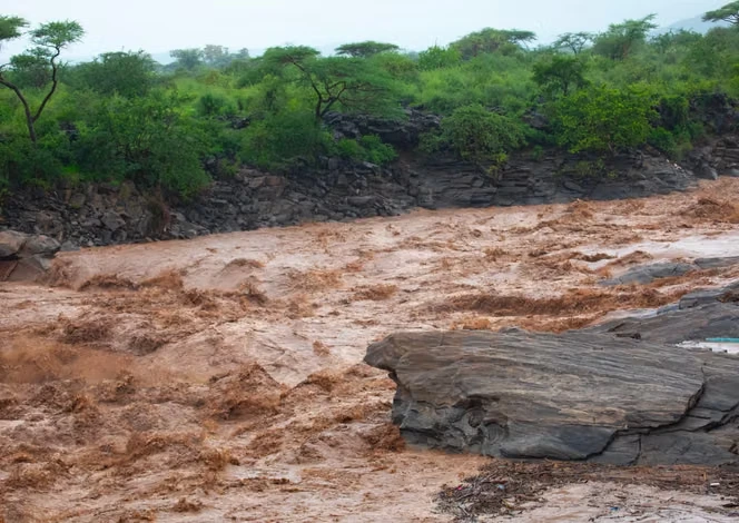 Le « super El Niño » qui arrive pourrait effacer 20 milliards de dollars de croissance en Afrique
