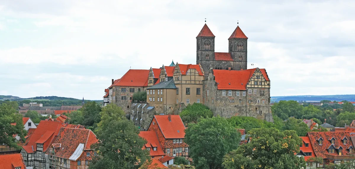 „Sachsen-Anhalt braucht Zuwanderung“ – ostdeutscher Top-Ökonom warnt vor AfD-Effekt