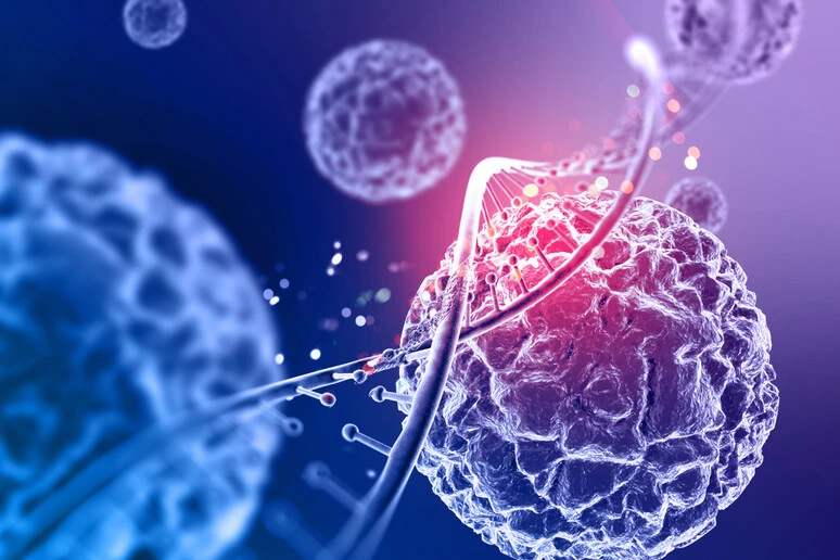 Dna e tumori, dalla fisica la chiave per capire il loro legame