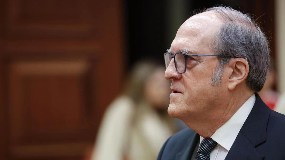 El Defensor del Pueblo recurre ante el Constitucional la suspensión del voto de los nacionalizados con la ley de nietos