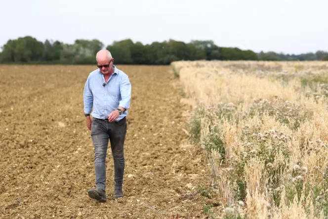En Angleterre, les paysans sont rémunérés pour s’occuper de la nature : « C’est devenu une source de revenus indispensable »