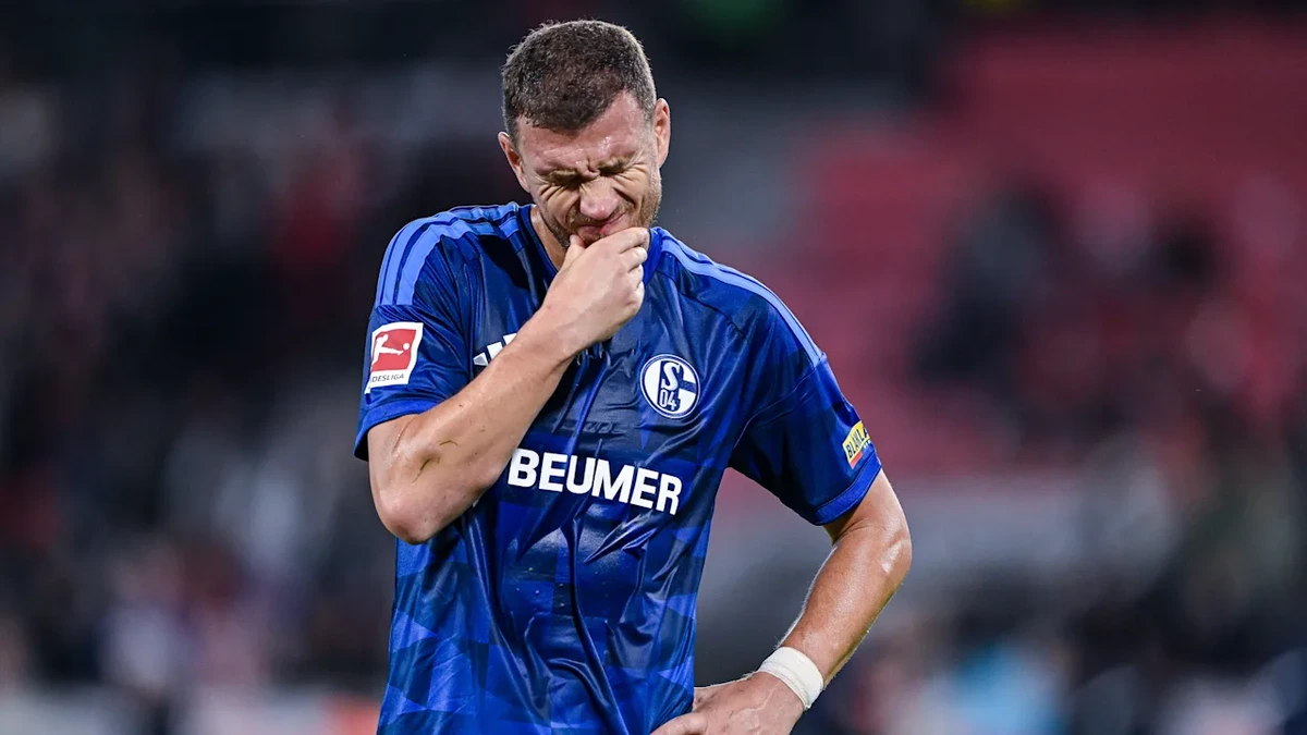Schalke 04: Kommentar von Christian Kitsch – Dzeko tut mir leid!